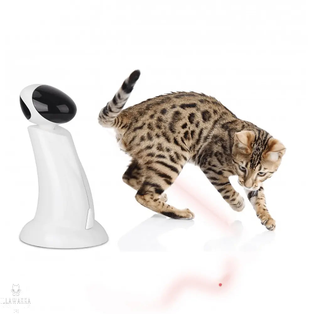 Afp Interactive Laser Beam All For Paws