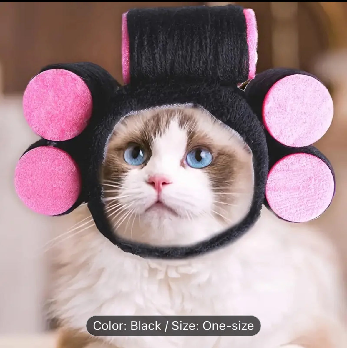 REDUCED - Fun Cat Roller Cap - Illawarra Cat Rescue Support Shop