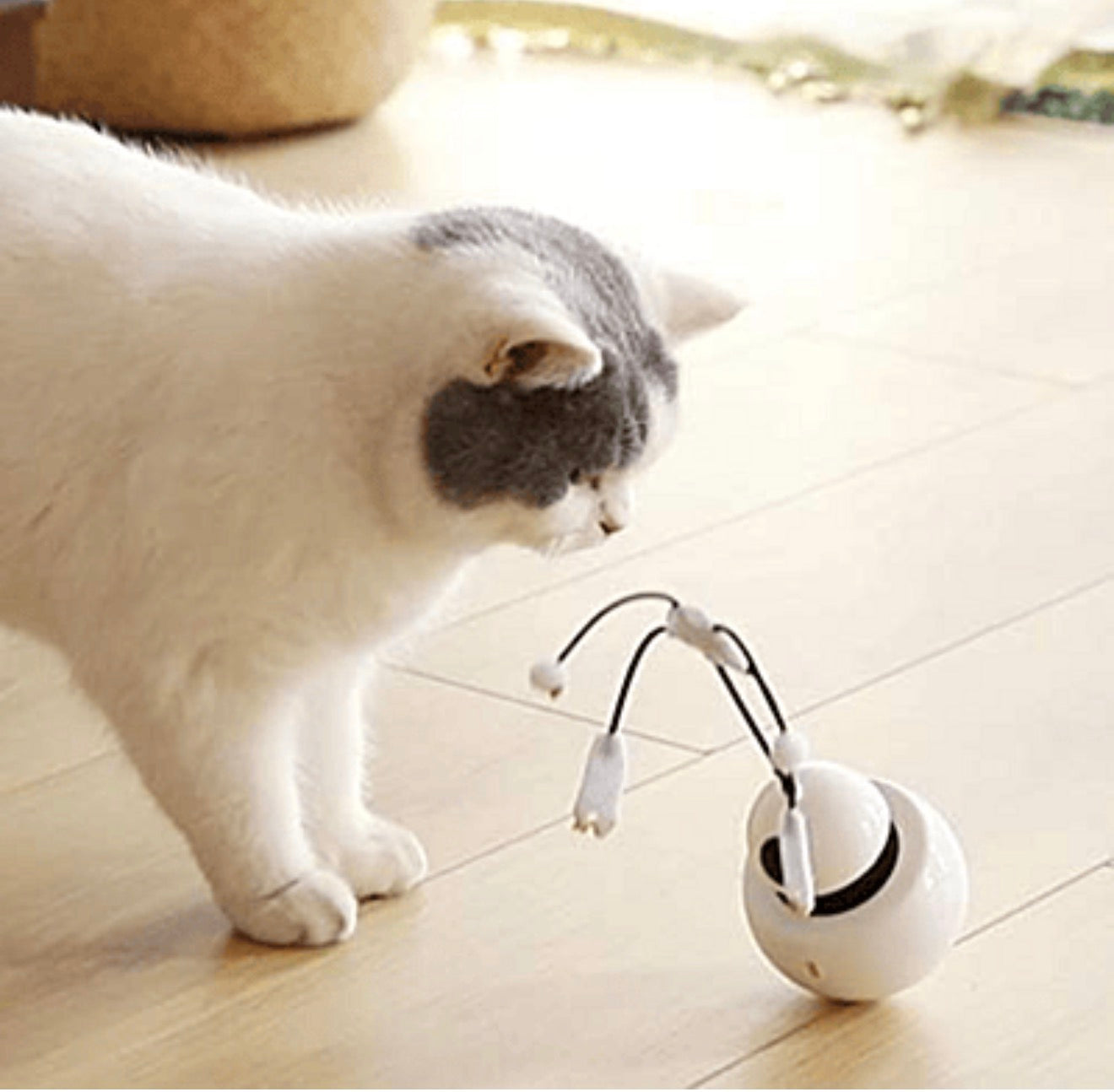 3 in 1 Interactive Robot Cat Toy with Spinning Wand and Laser