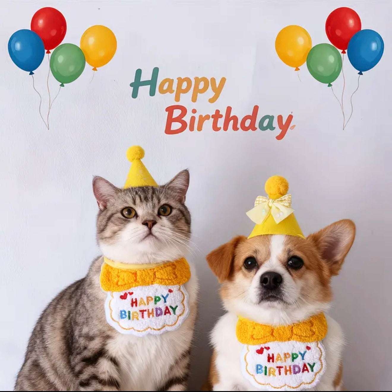 Cat Birthday Hat and Bib