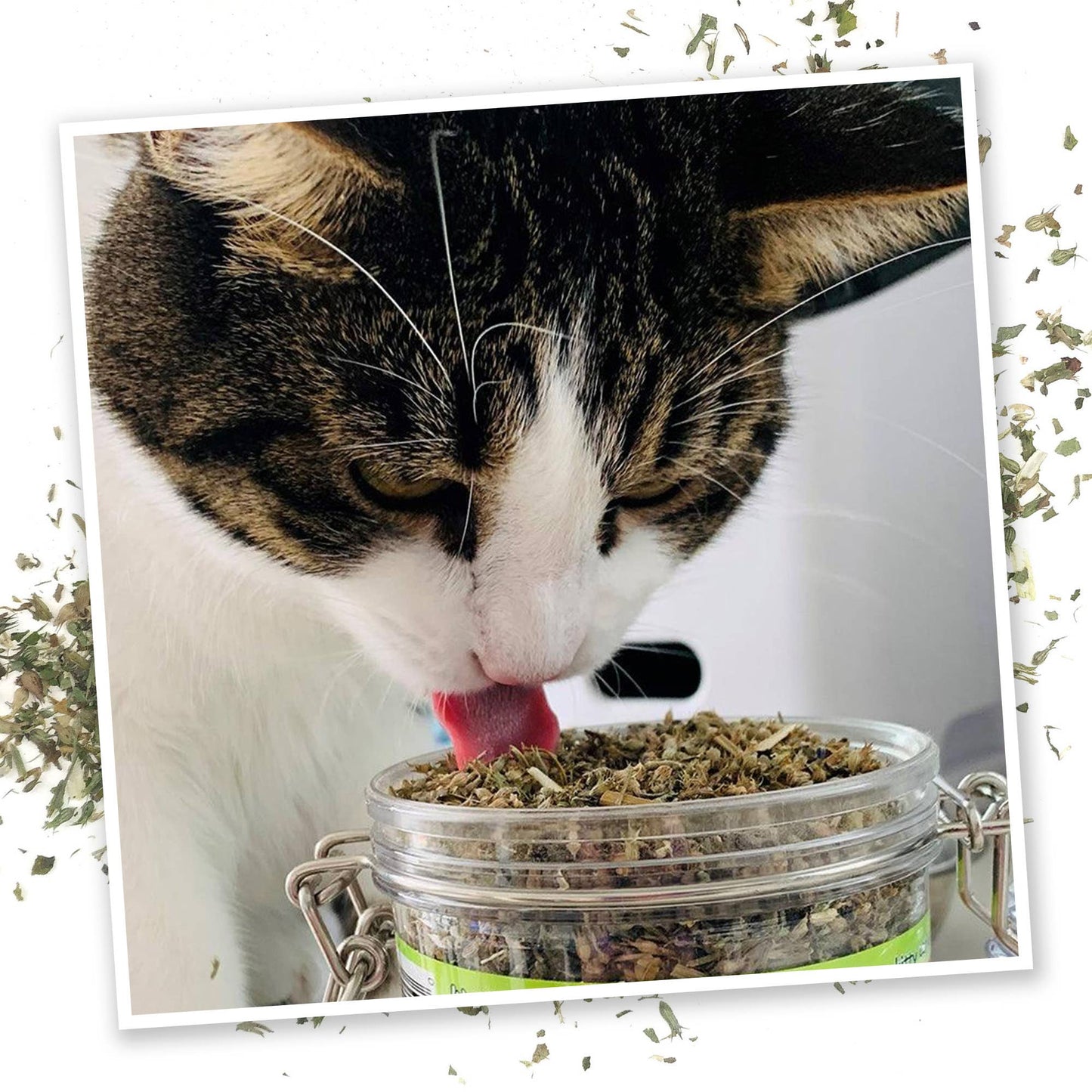 Meowijuana® Catnip Pawty Mix