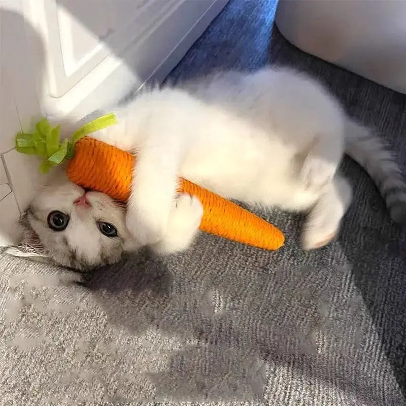 Carrot Cuddle Cat Toy Illawarra Cat Rescue Support Shop