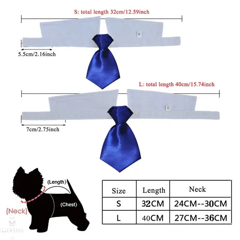 Cat Shirt Collar and Tie- Size Small Illawarra Cat Rescue Support Shop