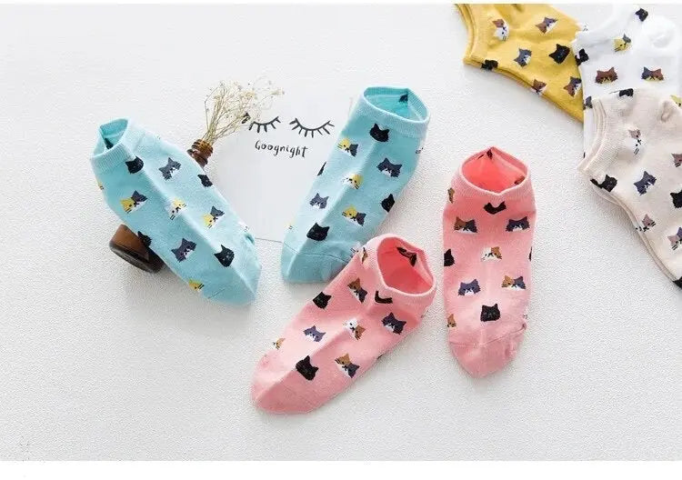 Cat Themed Socks Aus (Size 6-9) Stretch Illawarra Cat Rescue Support Shop