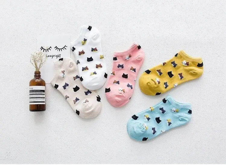 Cat Themed Socks Aus (Size 6-9) Stretch Illawarra Cat Rescue Support Shop