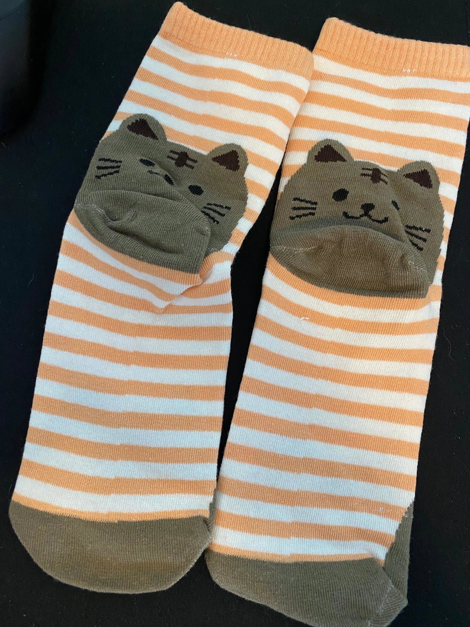 Cat Themed Socks Aus (Size 6-9) Stretch Illawarra Cat Rescue Support Shop