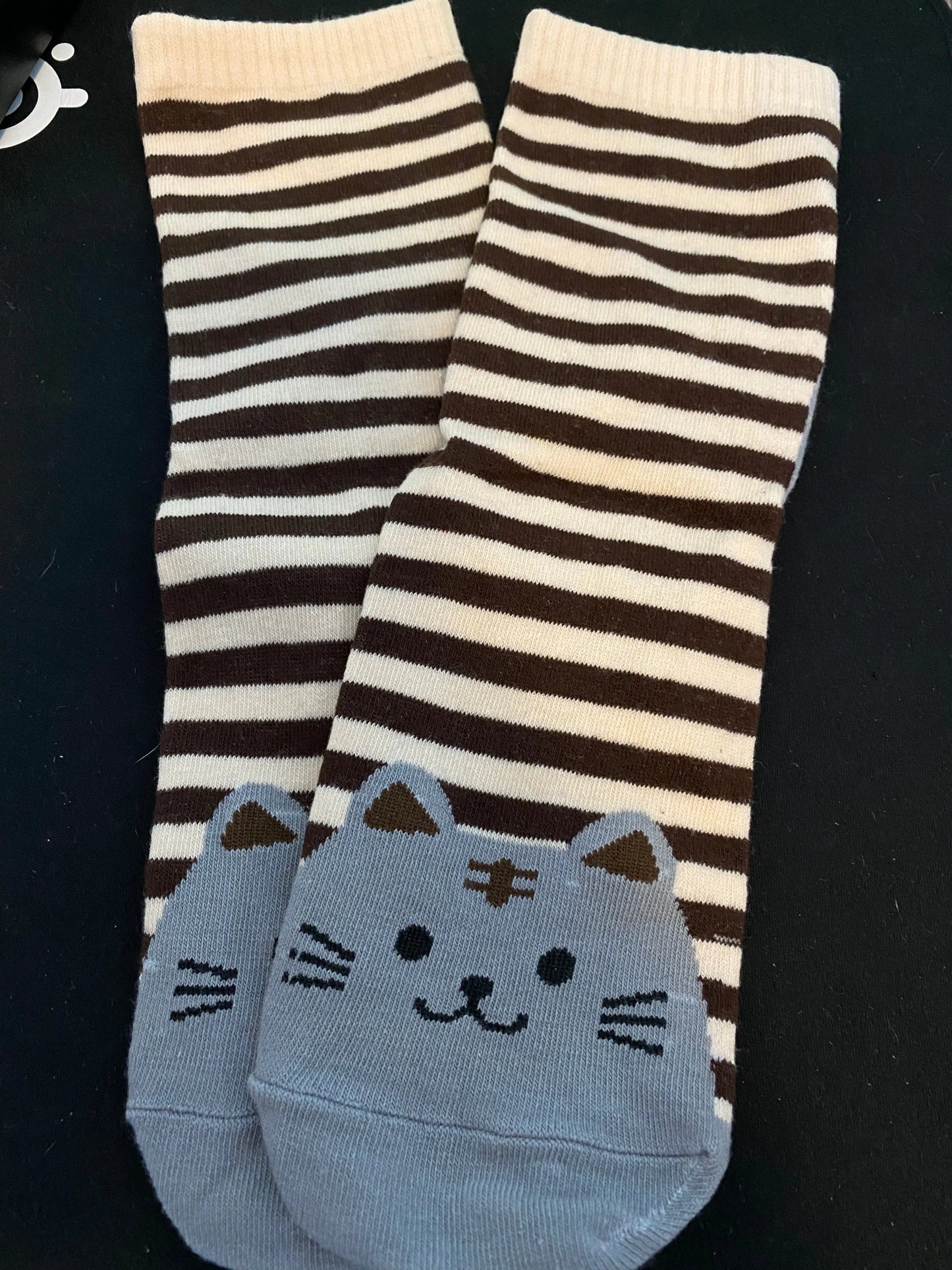 Cat Themed Socks Aus (Size 6-9) Stretch Illawarra Cat Rescue Support Shop