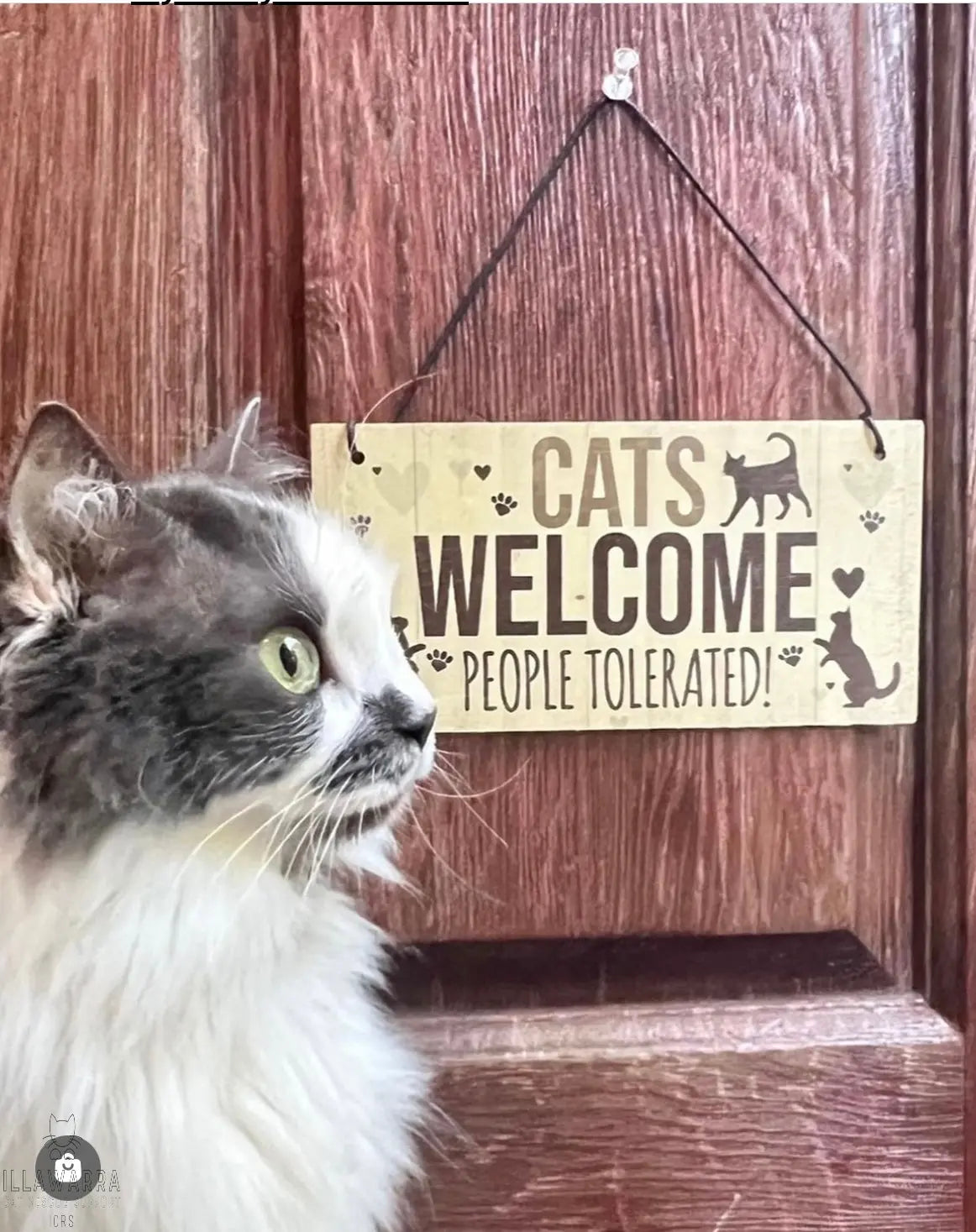 Cats Welcome Sign Illawarra Cat Rescue Support Shop