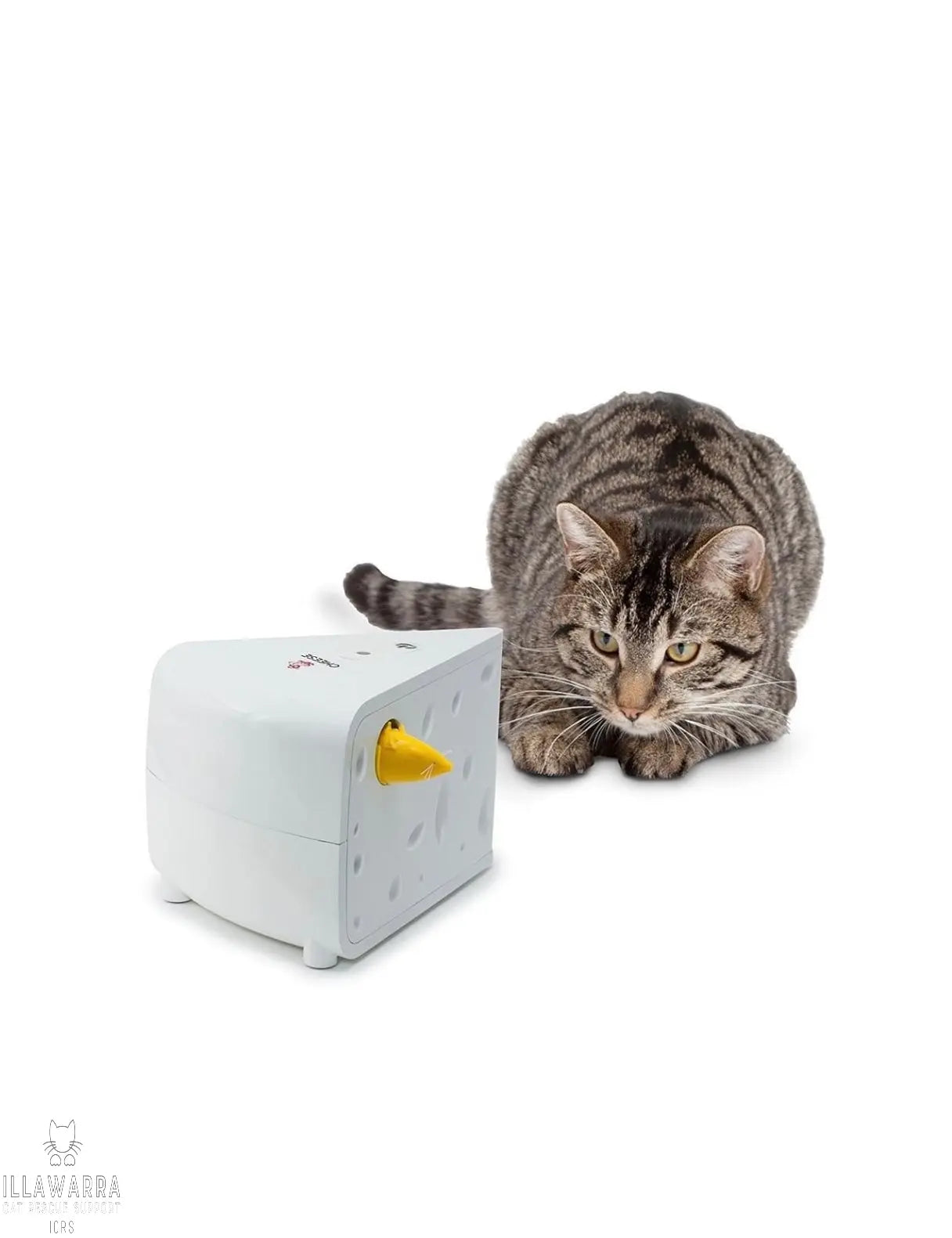 Folicat Cheese Automatic Cat Toy Frolicat