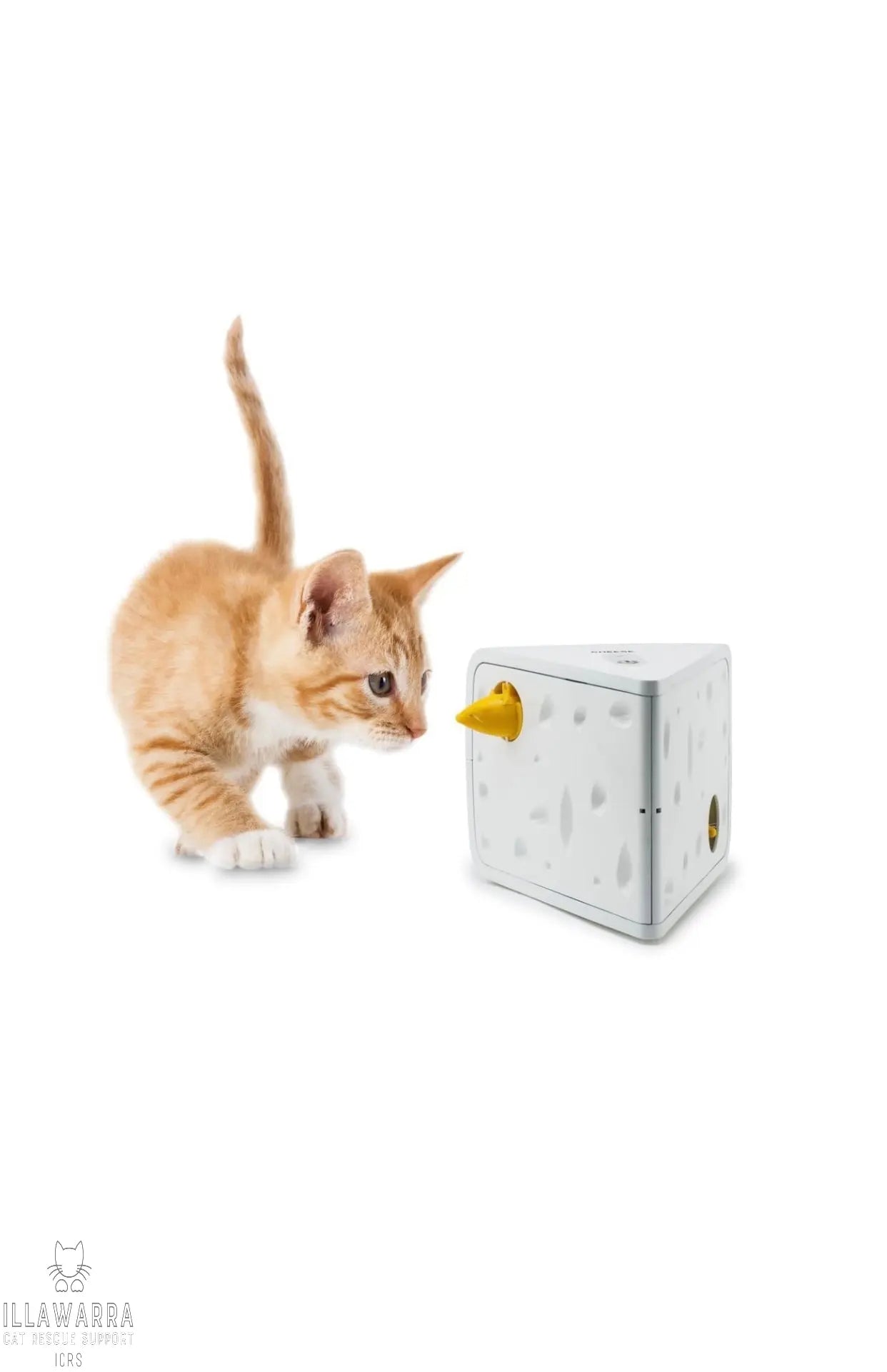 Folicat Cheese Automatic Cat Toy Frolicat