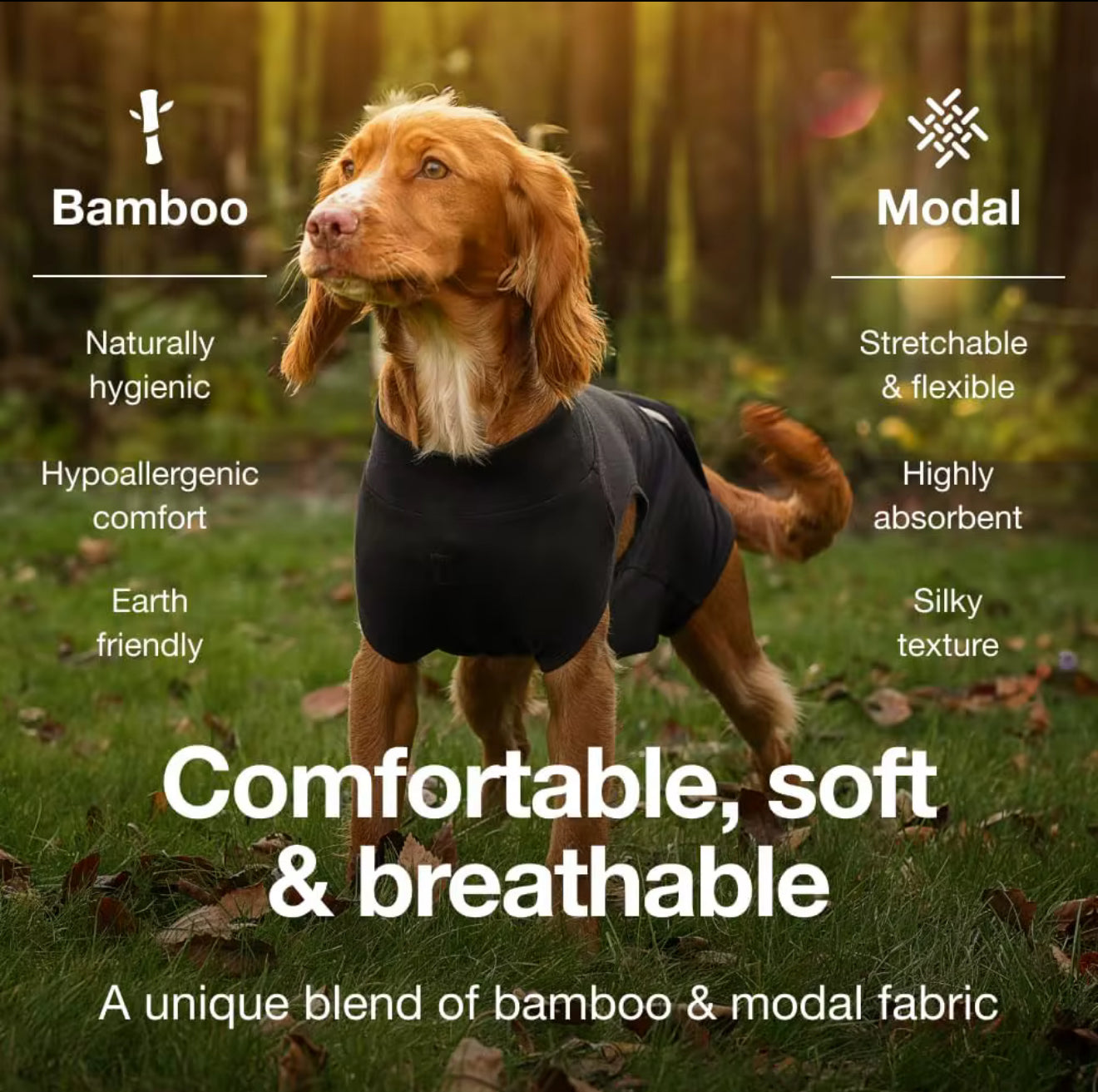 Dog Surgical Recovery Suits