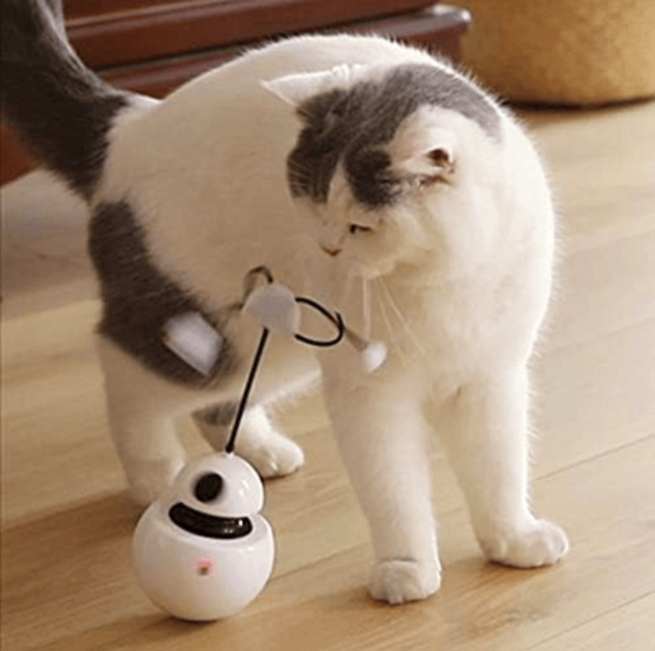 3 in 1 Interactive Robot Cat Toy with Spinning Wand and Laser