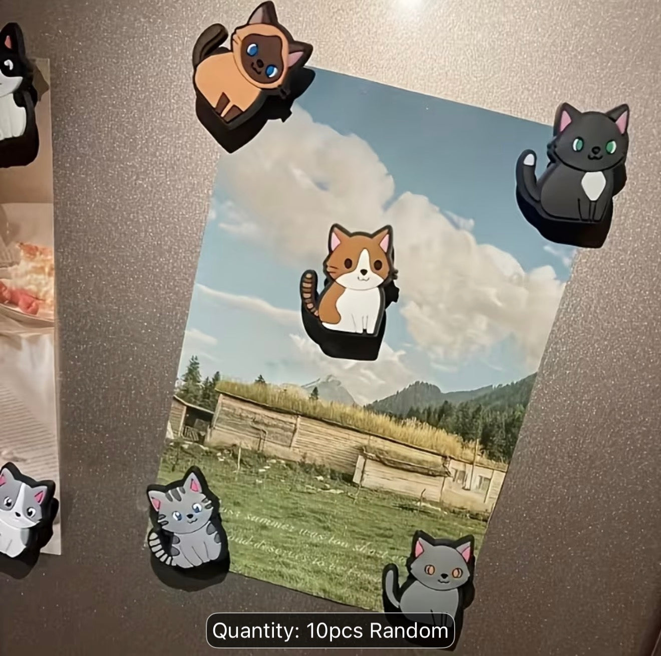 Cat themed Fridge Magnets