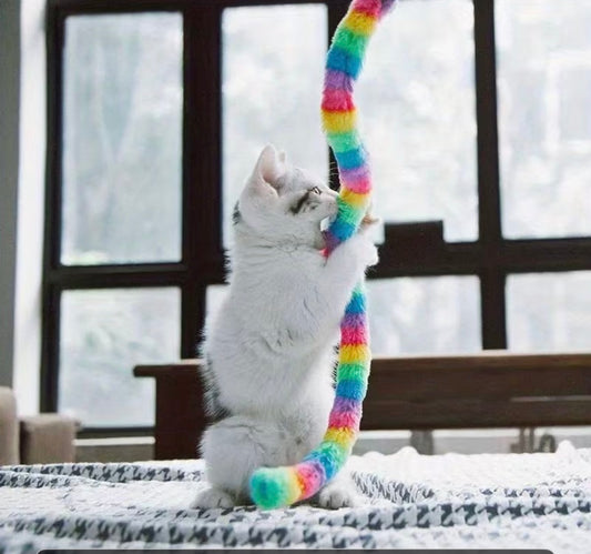 2 x Rainbow Wiggle Worm Cat Teasers Wands