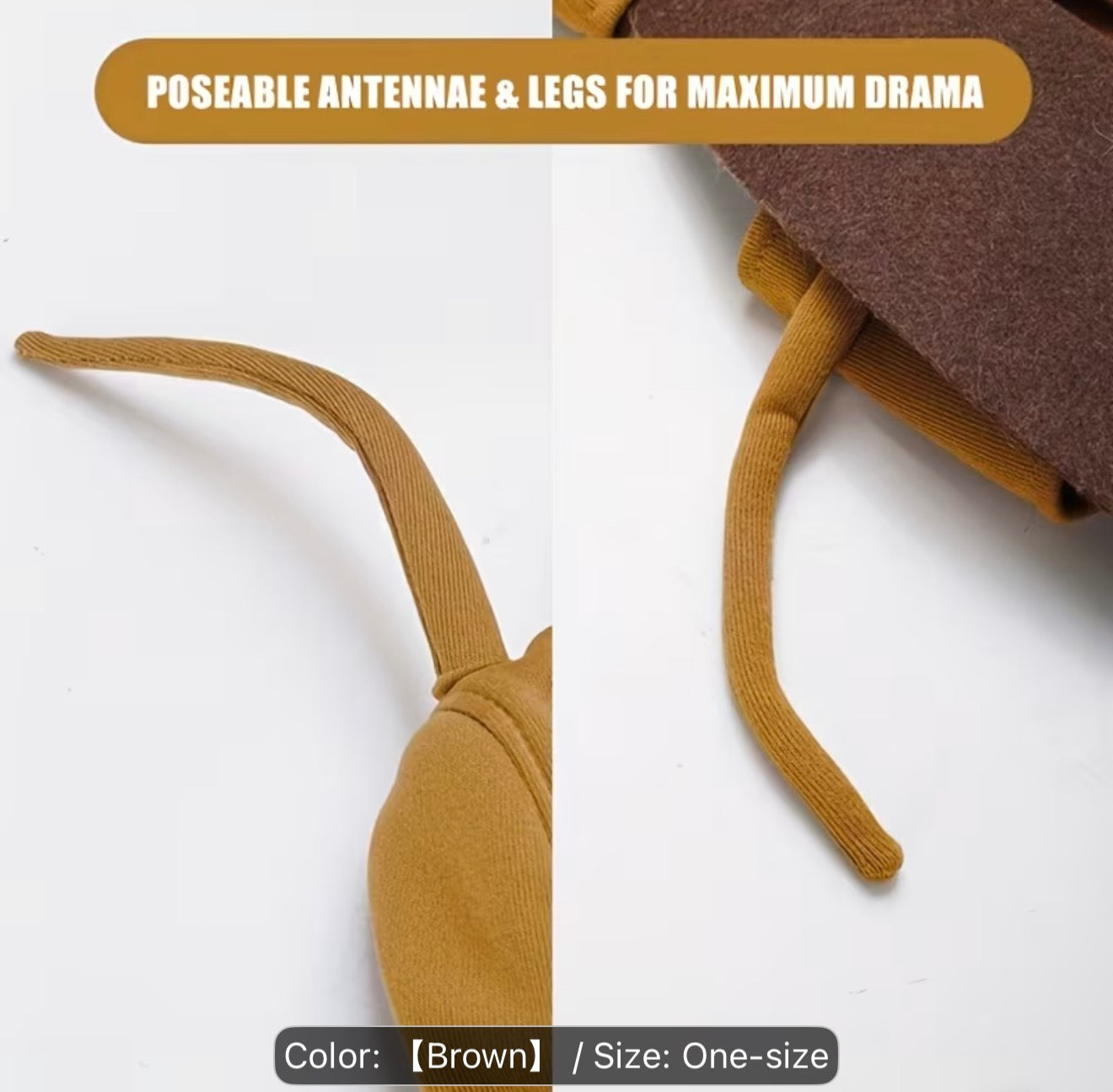 Cockroach Costume for Cats