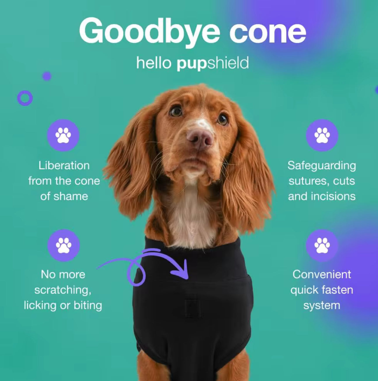 Dog Surgical Recovery Suits