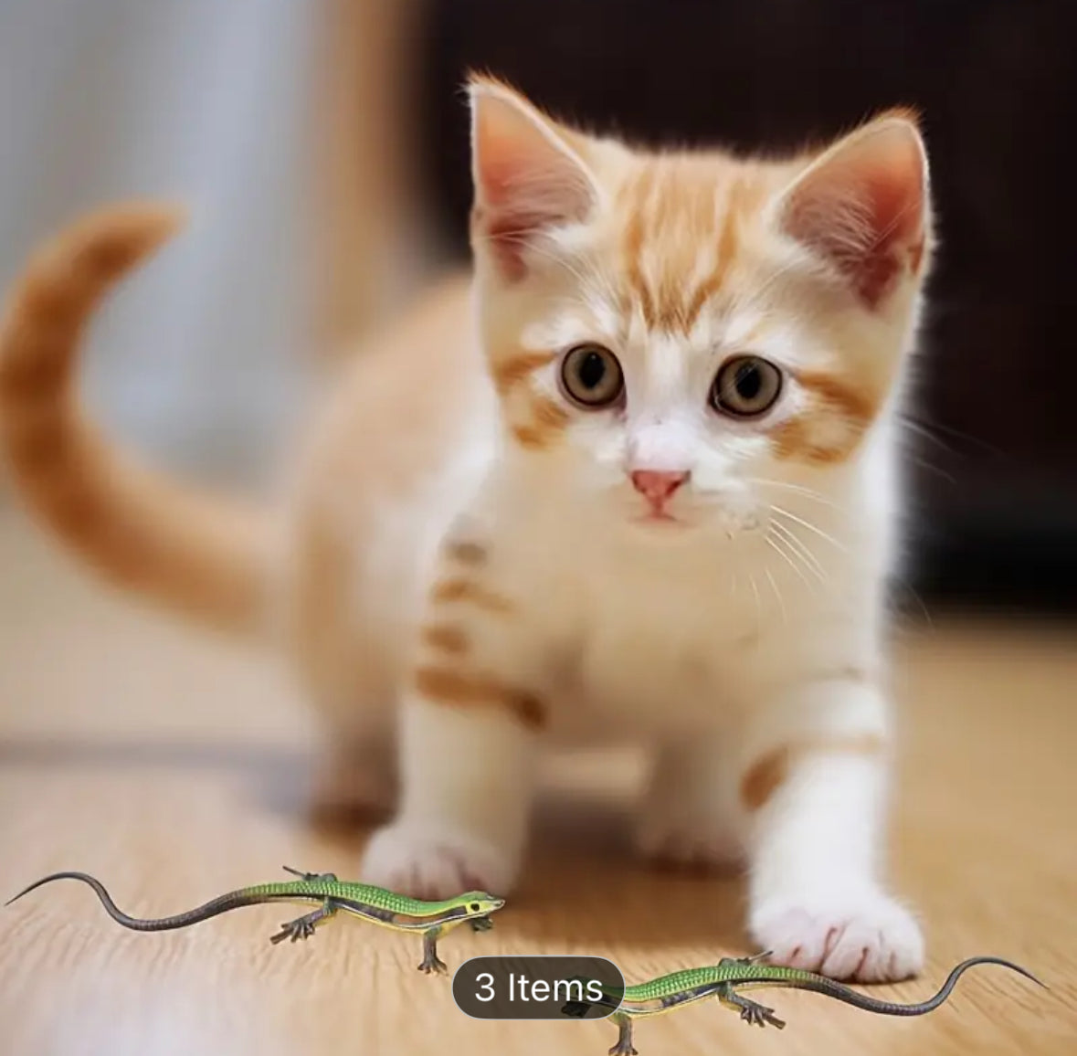 Cat Toy Lizzards