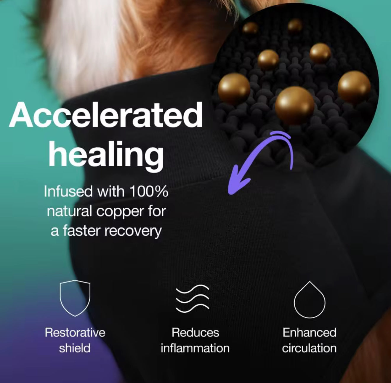 Dog Surgical Recovery Suits