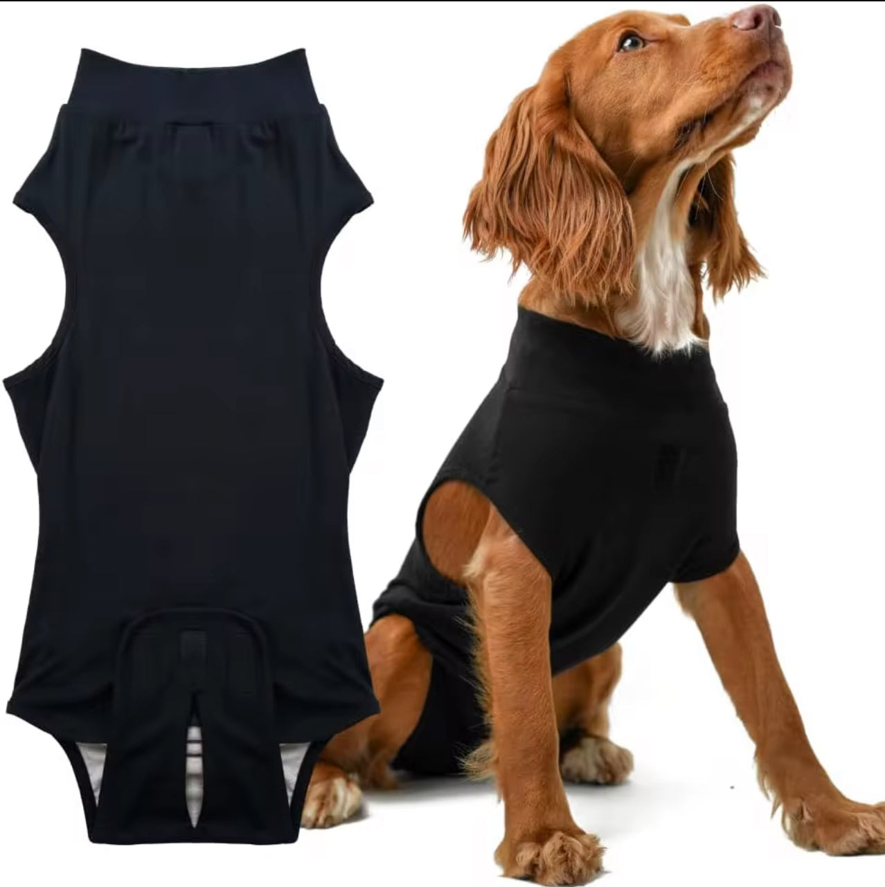 Dog Surgical Recovery Suits