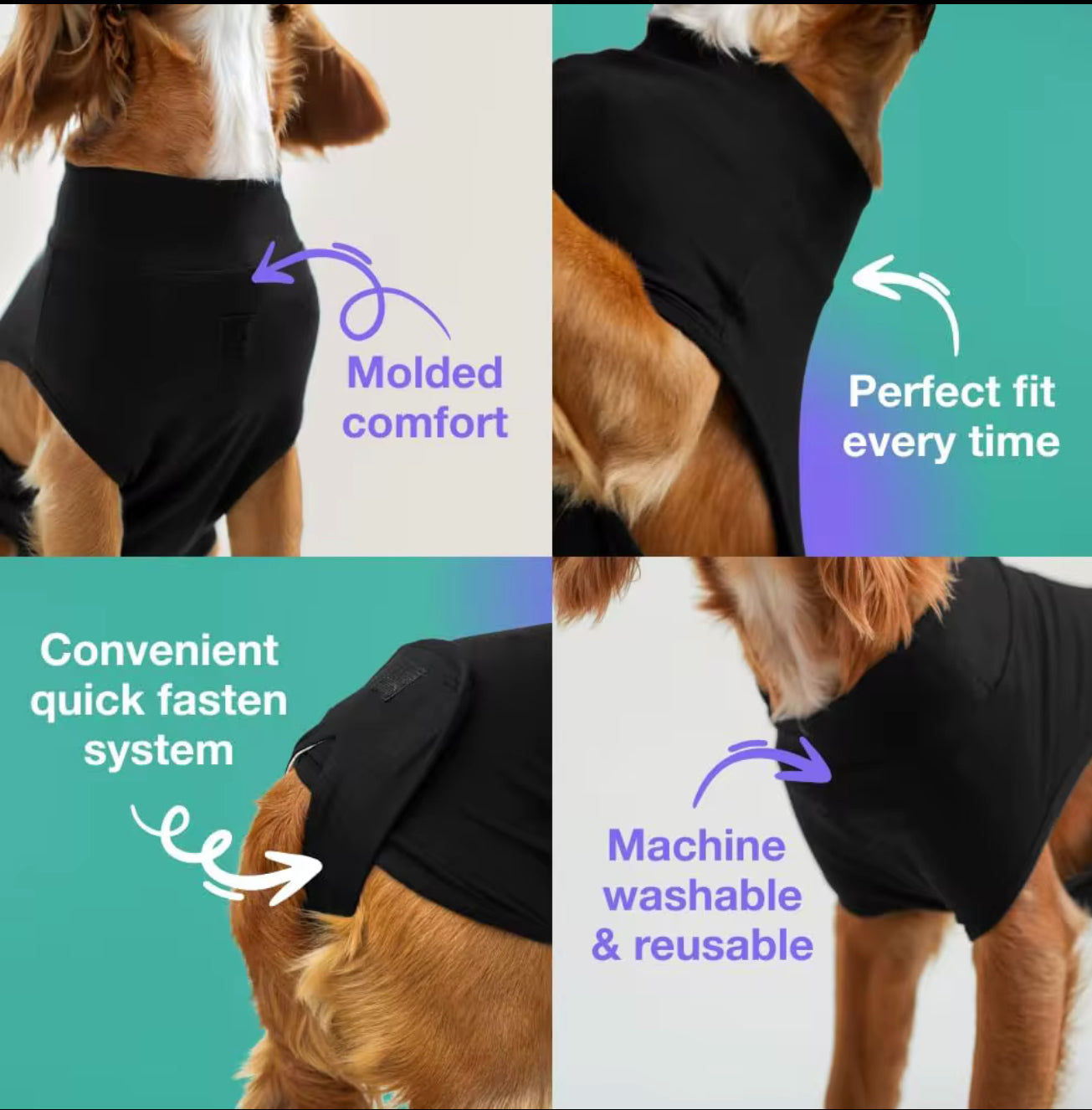 Dog Surgical Recovery Suits