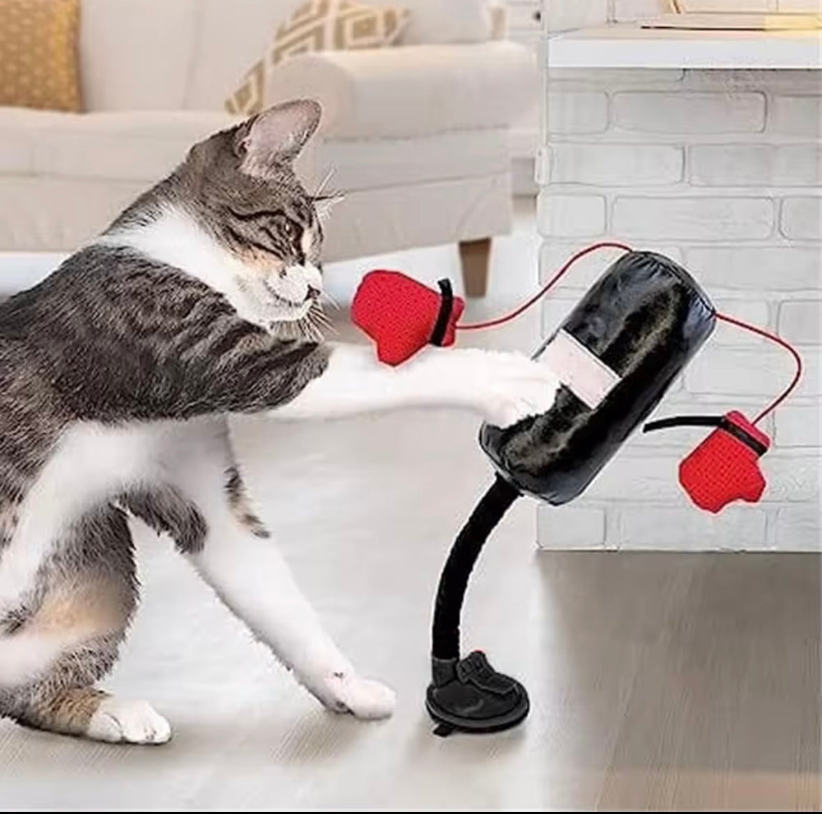 Cat Boxing Bag Toy