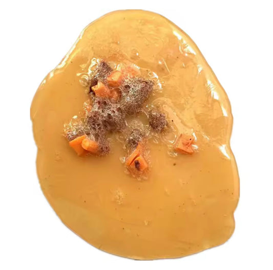 Fake Cat Vomit
