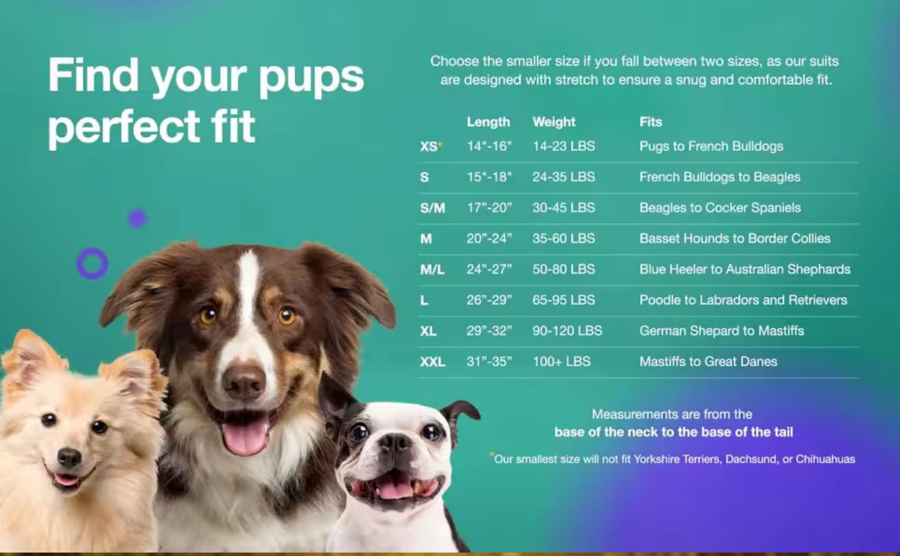 Dog Surgical Recovery Suits