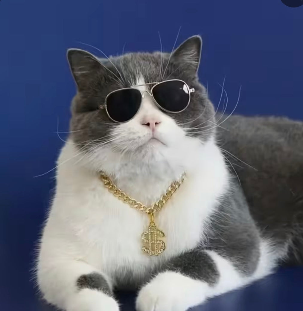 Gold Dollar Boujie Cat Collar