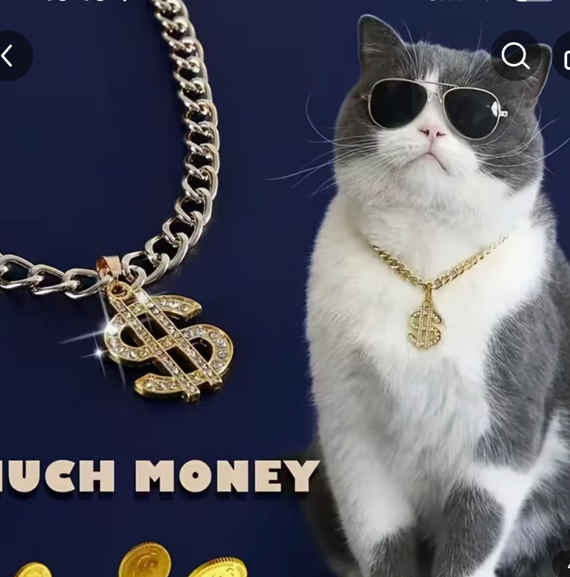 Gold Dollar Boujie Cat Collar