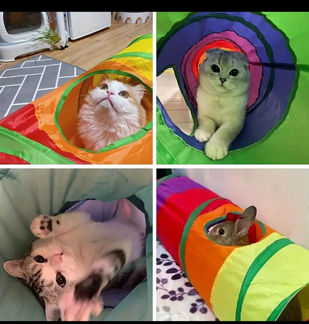 Cat Tunnel