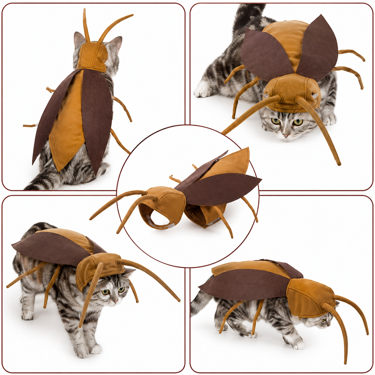 Cockroach Costume for Cats
