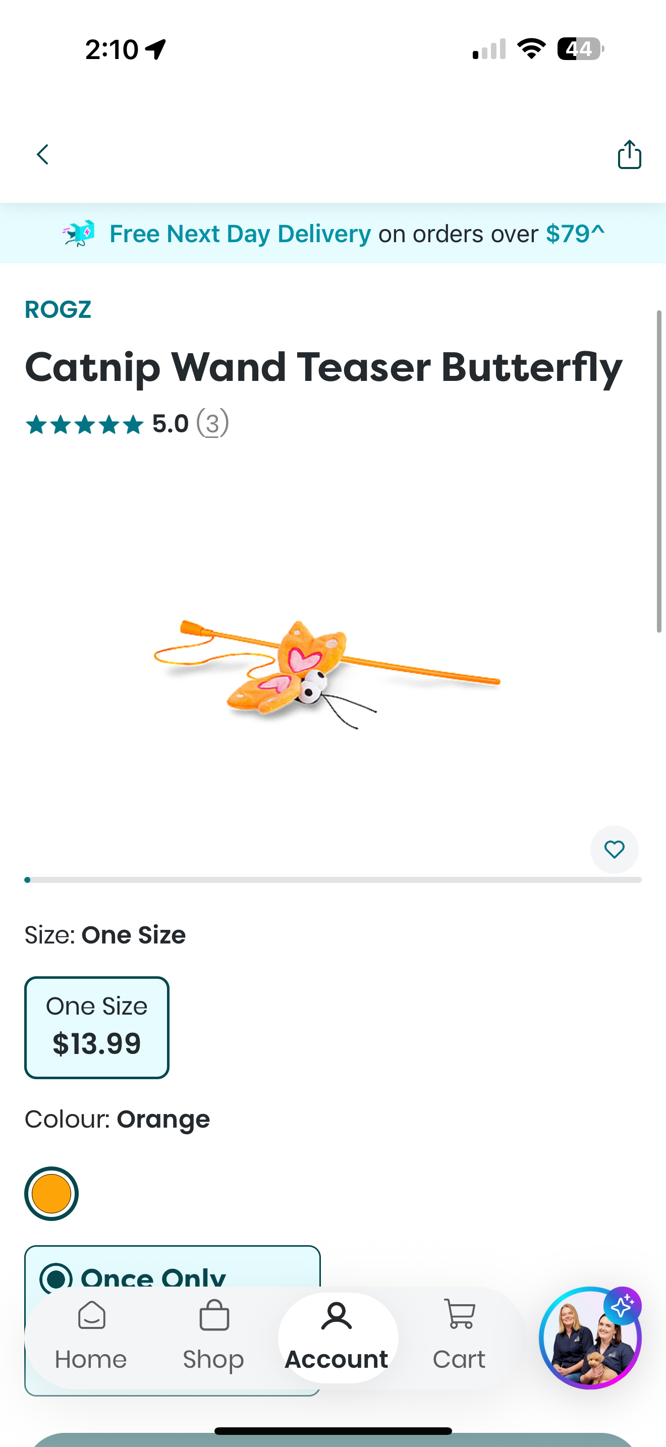 Catnip Wand Teaser Butterfly