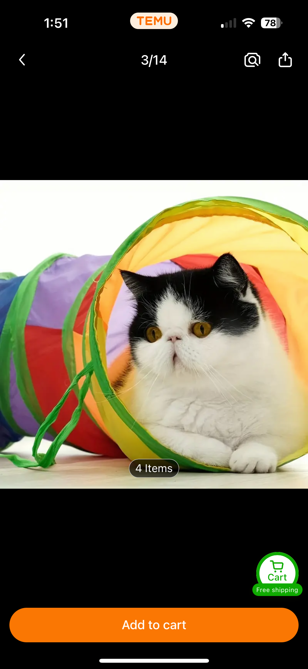 Cat Tunnel