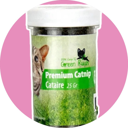 All For Paws Green Rush Premium Catnip - Illawarra Cat Rescue Support Shop