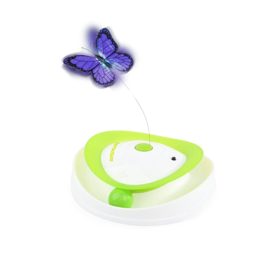 AFP Interactives Roll Around Flutter Bug