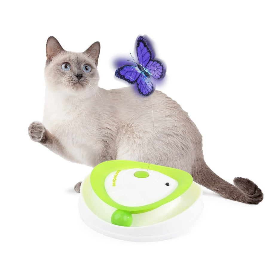 AFP Interactives Roll Around Flutter Bug