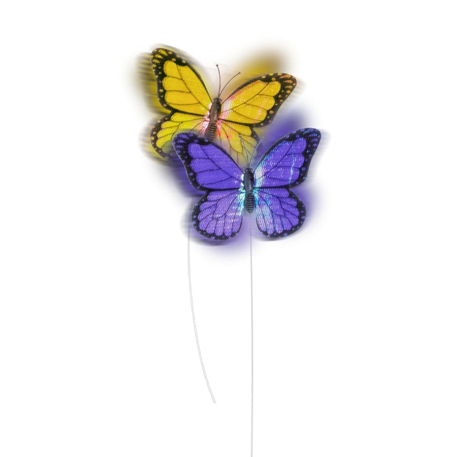 AFP Interactives Roll Around Flutter Bug