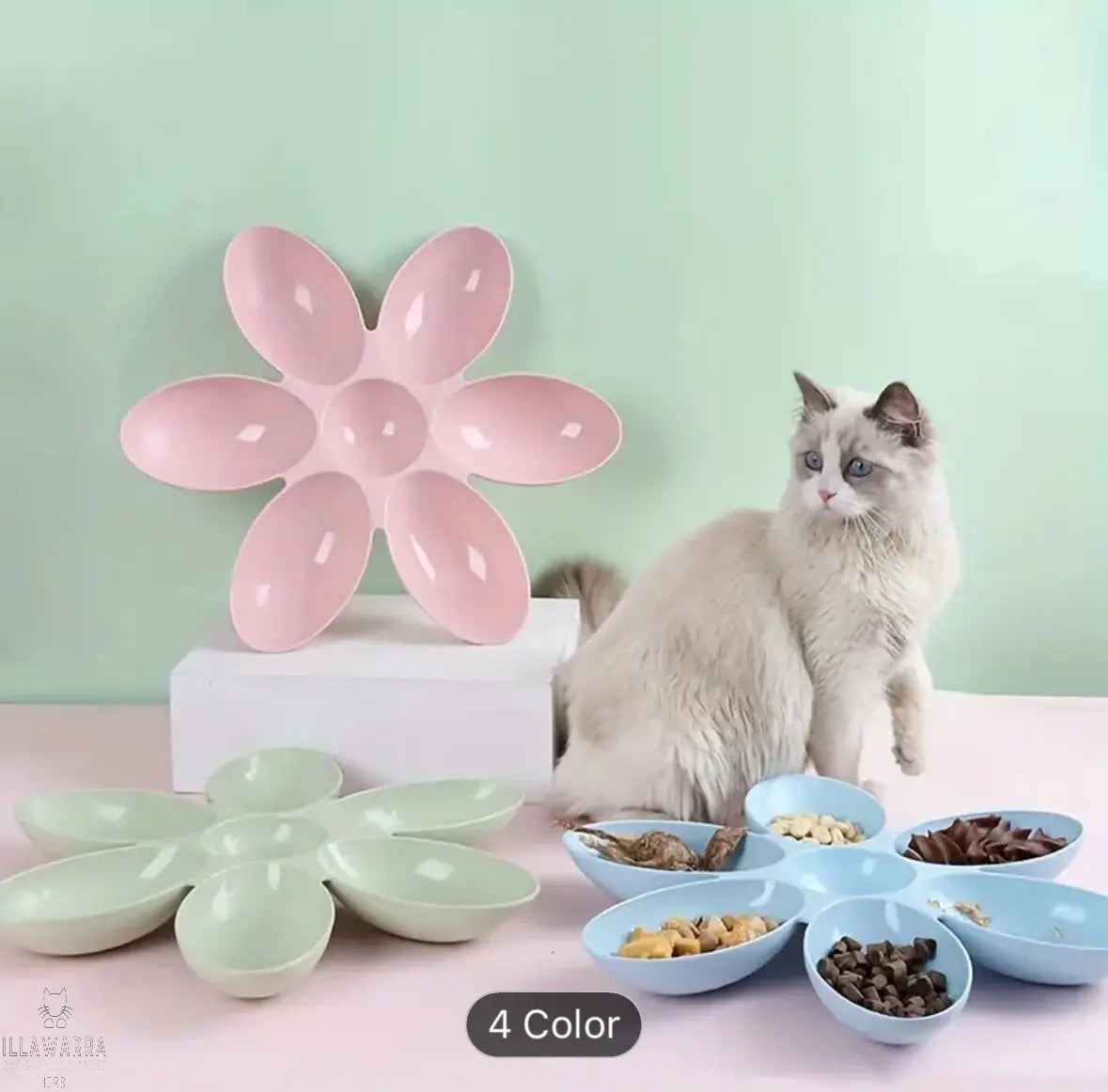 Petal Shaped Cat Food Bowl Illawarra Cat Rescue Support Shop