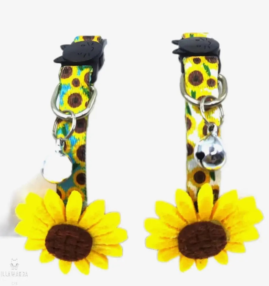 Sunflower Cat Collar Illawarra Cat Rescue Support