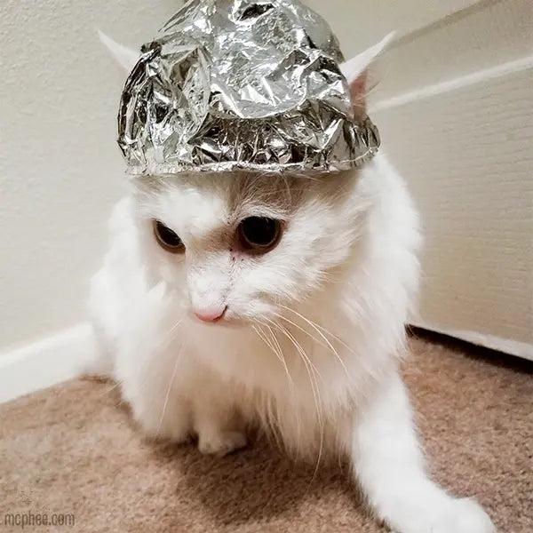 Tin Foil Hat For Cats Archie Mcphee